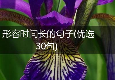 形容时间长的句子(优选30句)