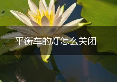 平衡车的灯怎么关闭
