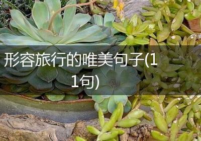 形容旅行的唯美句子(11句)