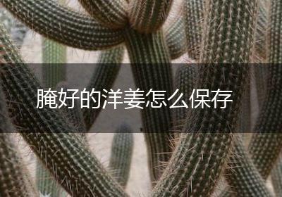 腌好的洋姜怎么保存