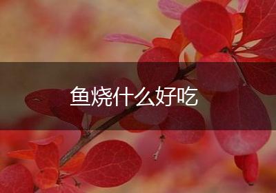 鱼烧什么好吃
