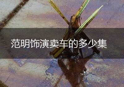 范明饰演卖车的多少集