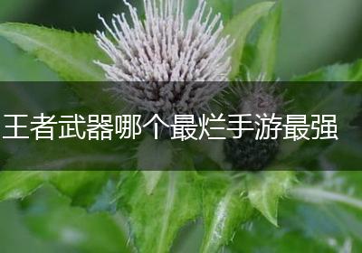 王者武器哪个最烂手游最强