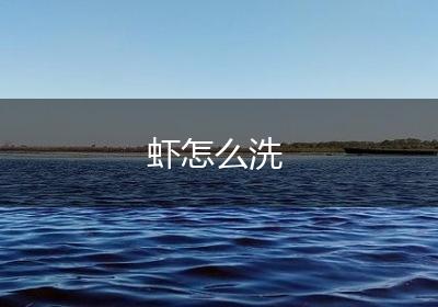 虾怎么洗