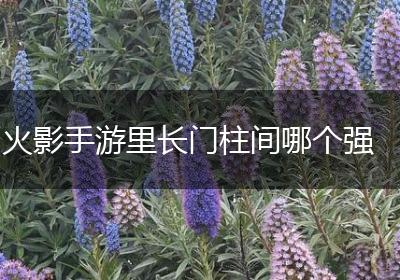 火影手游里长门柱间哪个强