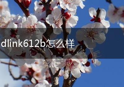 dlink612b怎么样