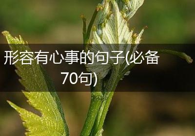 形容有心事的句子(必备70句)