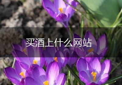 买酒上什么网站