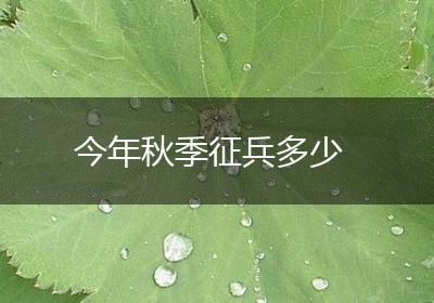 今年秋季征兵多少
