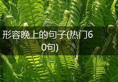 形容晚上的句子(热门60句)