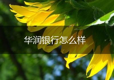华润银行怎么样