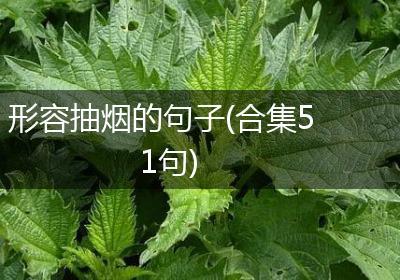 形容抽烟的句子(合集51句)