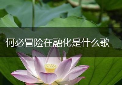 何必冒险在融化是什么歌