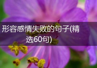 形容感情失败的句子(精选60句)