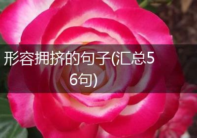 形容拥挤的句子(汇总56句)