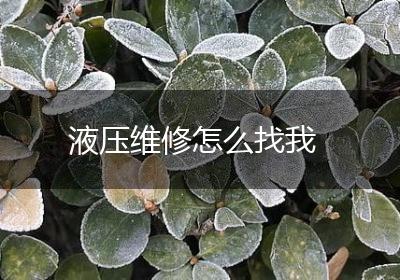 液压维修怎么找我