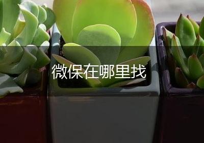 微保在哪里找