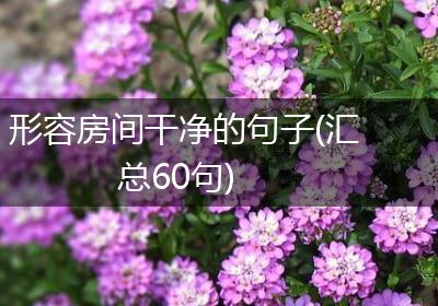 形容房间干净的句子(汇总60句)