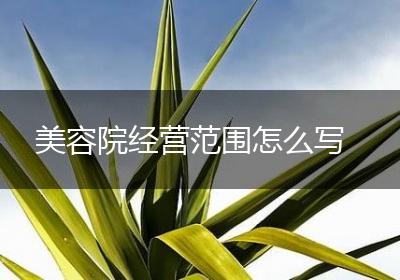 美容院经营范围怎么写
