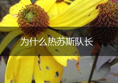 为什么热苏斯队长