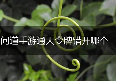 问道手游通天令牌错开哪个