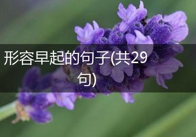 形容早起的句子(共29句)