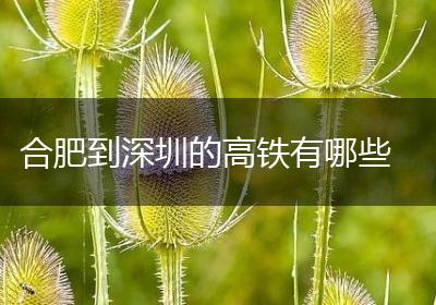 合肥到深圳的高铁有哪些