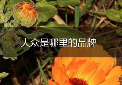 大众是哪里的品牌