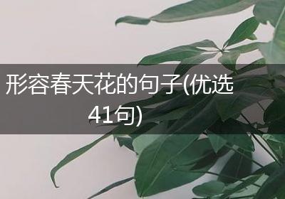 形容春天花的句子(优选41句)