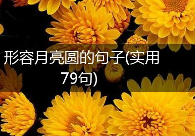形容月亮圆的句子(实用79句)