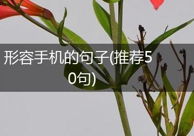 形容手机的句子(推荐50句)