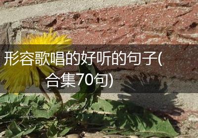 形容歌唱的好听的句子(合集70句)