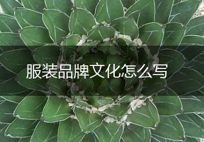 服装品牌文化怎么写