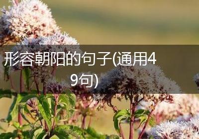 形容朝阳的句子(通用49句)