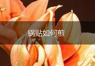 锅贴如何煎