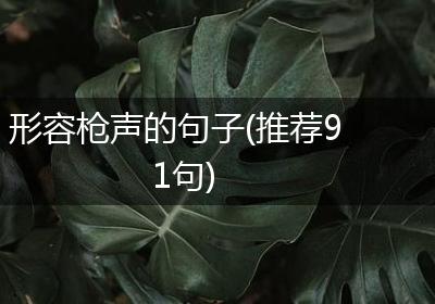 形容枪声的句子(推荐91句)