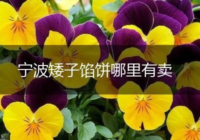 宁波矮子馅饼哪里有卖