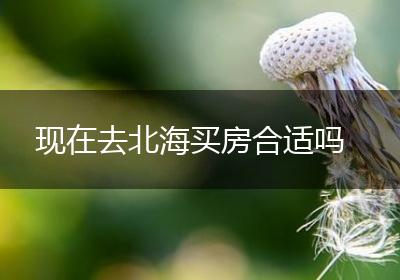 现在去北海买房合适吗