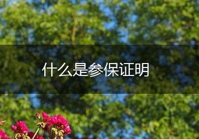 什么是参保证明