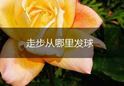 走步从哪里发球