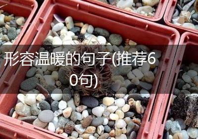 形容温暖的句子(推荐60句)