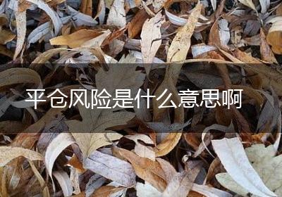 平仓风险是什么意思啊