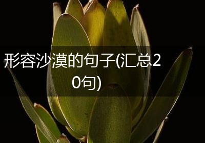 形容沙漠的句子(汇总20句)
