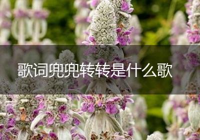 歌词兜兜转转是什么歌