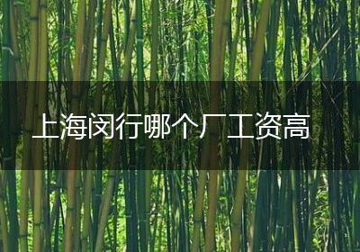 上海闵行哪个厂工资高