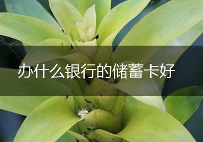 办什么银行的储蓄卡好