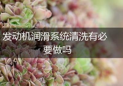 发动机润滑系统清洗有必要做吗