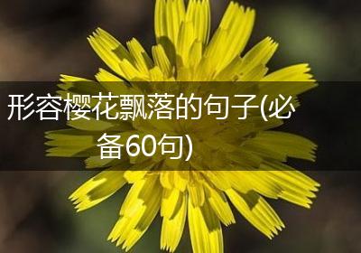 形容樱花飘落的句子(必备60句)