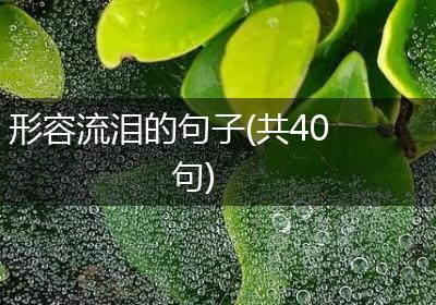 形容流泪的句子(共40句)