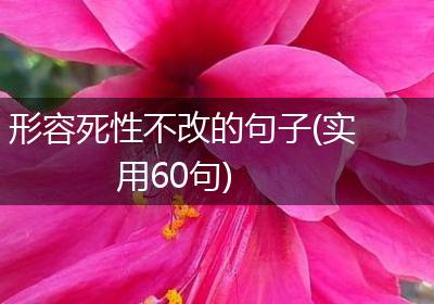 形容死性不改的句子(实用60句)